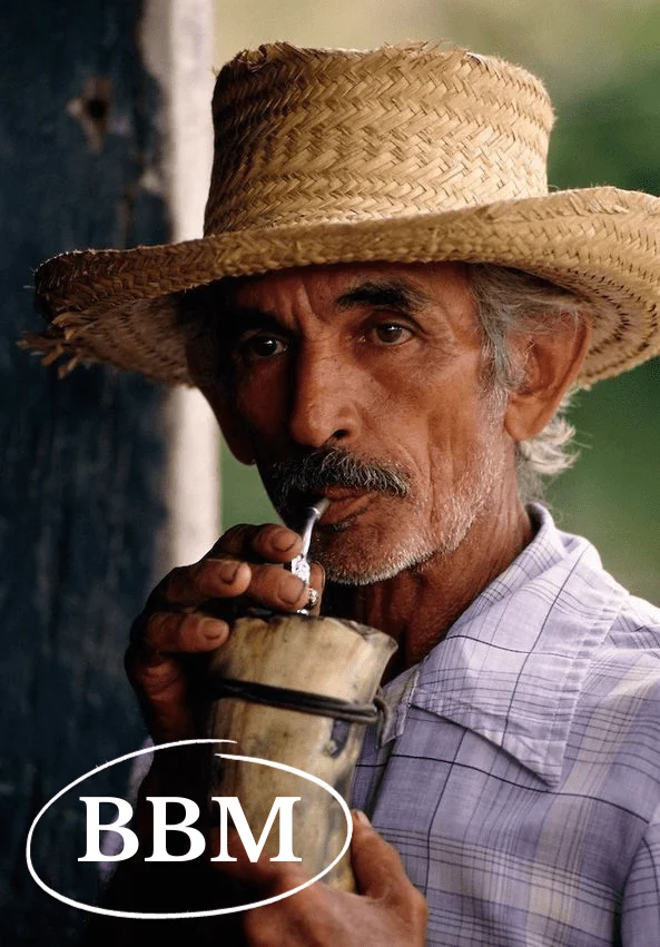 mate de guampa